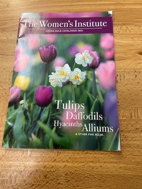 2026 Bulb catalogue