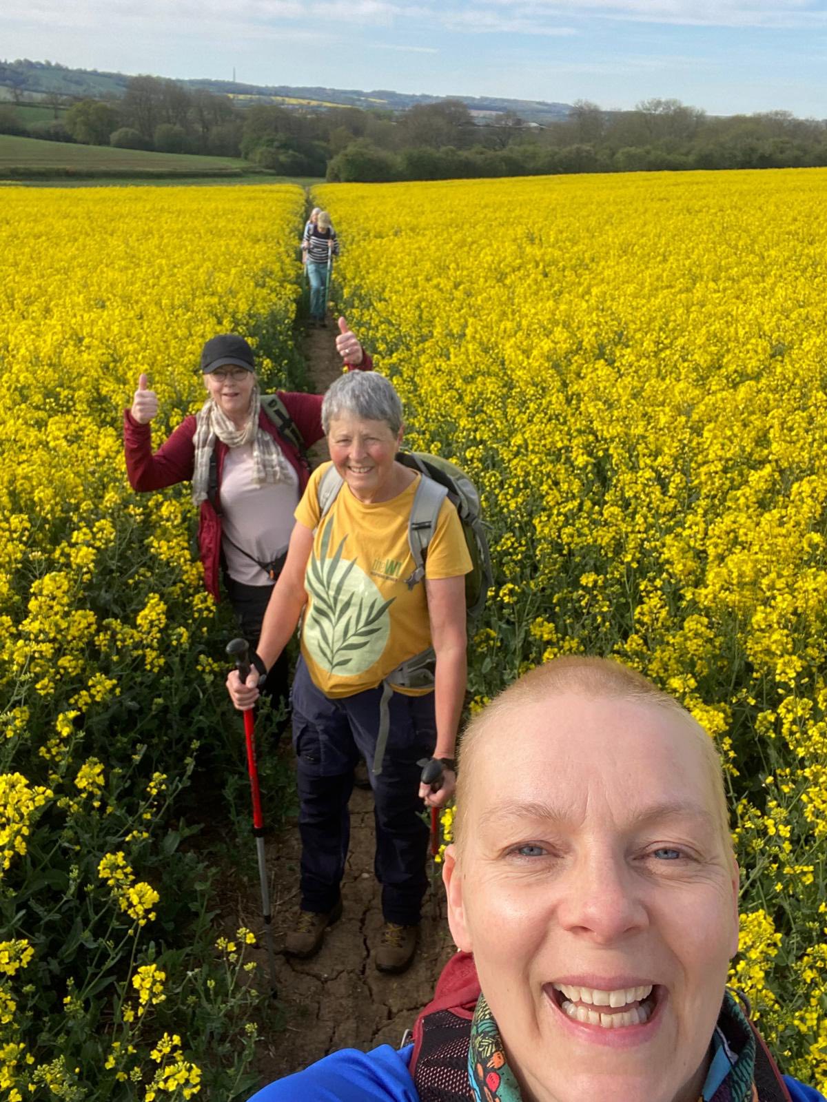 In rape field